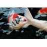 DYNAMIX Koi Pellets Small 20 l - krmivo