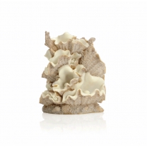 biOrb dekorace Mušle malé