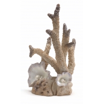 biOrb dekorace kor&aacute;ly velk&aacute;