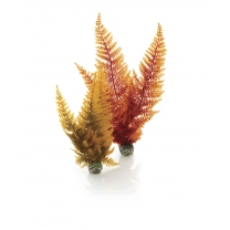 biOrb dekorace Podzimní kapradí