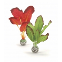 biOrb rostliny mal&eacute; červen&aacute; a zelen&aacute;