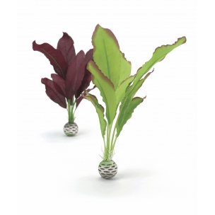 biOrb dekorace Rostliny zelen&aacute; a fialov&aacute; středn&iacute;