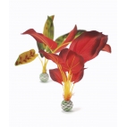 biOrb dekorace Rostliny červená a zelená velké