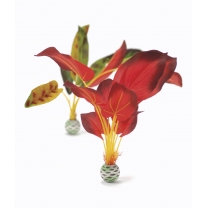 biOrb rostliny velk&eacute; zelen&aacute; a červen&aacute;