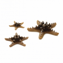 biOrb mořsk&eacute; hvězdice př&iacute;rodn&iacute;