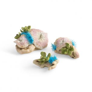 biOrb dekorace Set barevn&yacute;ch mořsk&yacute;ch kor&aacute;lů