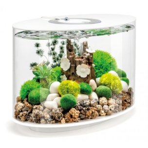 biOrb LOOP 15 MCR b&iacute;l&eacute;