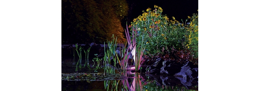 Profi Lux Garden LED RGB