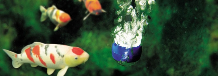 Jez&iacute;rkov&eacute; provzdu&scaron;ňovače